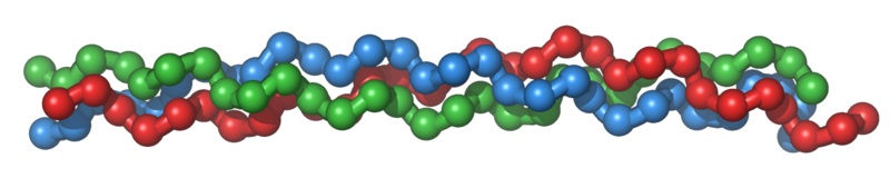 What-is-the-Difference-Between-Collagen-and-Gelatine_Figure1