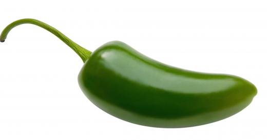 a-jalapeno-pepper